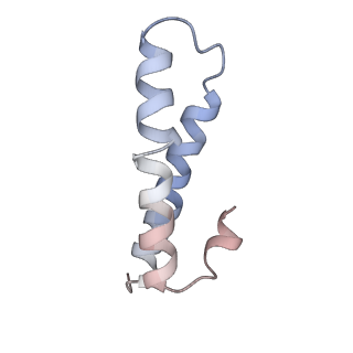 7970_6dnc_CA_v1-3
E.coli RF1 bound to E.coli 70S ribosome in response to UAU sense A-site codon