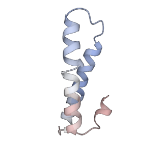 7970_6dnc_CA_v1-4
E.coli RF1 bound to E.coli 70S ribosome in response to UAU sense A-site codon