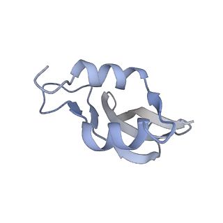7970_6dnc_CB_v1-3
E.coli RF1 bound to E.coli 70S ribosome in response to UAU sense A-site codon