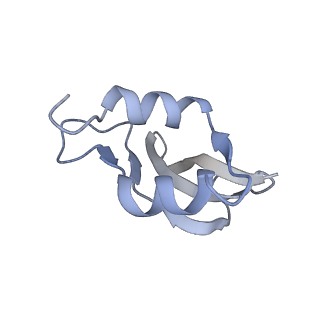 7970_6dnc_CB_v1-4
E.coli RF1 bound to E.coli 70S ribosome in response to UAU sense A-site codon