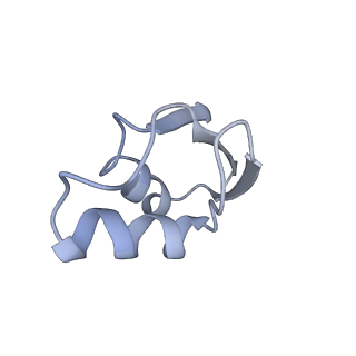 7970_6dnc_DA_v1-3
E.coli RF1 bound to E.coli 70S ribosome in response to UAU sense A-site codon