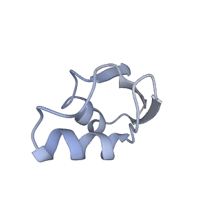 7970_6dnc_DA_v1-4
E.coli RF1 bound to E.coli 70S ribosome in response to UAU sense A-site codon