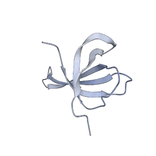 7970_6dnc_DB_v1-4
E.coli RF1 bound to E.coli 70S ribosome in response to UAU sense A-site codon