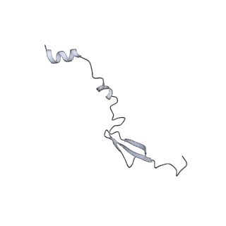 7970_6dnc_EA_v1-4
E.coli RF1 bound to E.coli 70S ribosome in response to UAU sense A-site codon