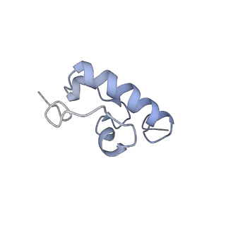 7970_6dnc_EB_v1-3
E.coli RF1 bound to E.coli 70S ribosome in response to UAU sense A-site codon