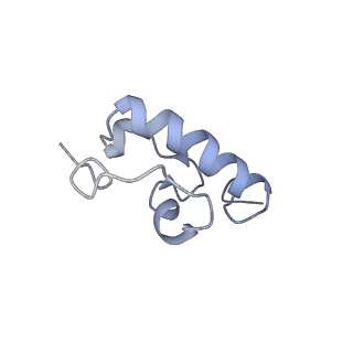 7970_6dnc_EB_v1-4
E.coli RF1 bound to E.coli 70S ribosome in response to UAU sense A-site codon