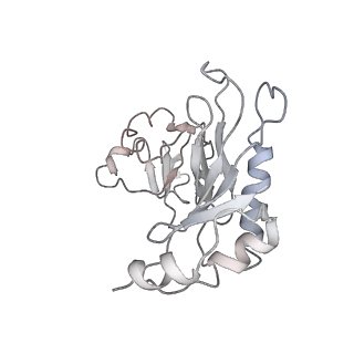7970_6dnc_E_v1-3
E.coli RF1 bound to E.coli 70S ribosome in response to UAU sense A-site codon