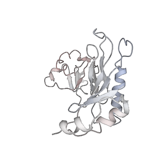 7970_6dnc_E_v1-4
E.coli RF1 bound to E.coli 70S ribosome in response to UAU sense A-site codon