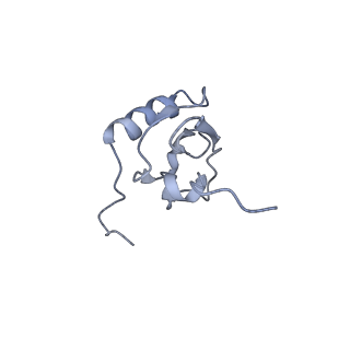 7970_6dnc_FB_v1-4
E.coli RF1 bound to E.coli 70S ribosome in response to UAU sense A-site codon