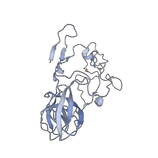 7970_6dnc_F_v1-3
E.coli RF1 bound to E.coli 70S ribosome in response to UAU sense A-site codon