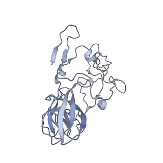 7970_6dnc_F_v1-4
E.coli RF1 bound to E.coli 70S ribosome in response to UAU sense A-site codon