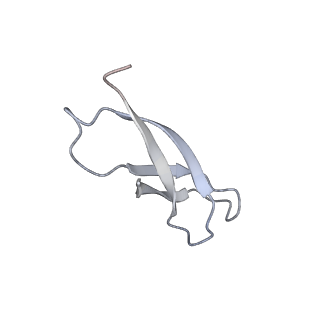 7970_6dnc_GA_v1-4
E.coli RF1 bound to E.coli 70S ribosome in response to UAU sense A-site codon