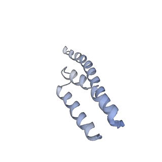 7970_6dnc_GB_v1-3
E.coli RF1 bound to E.coli 70S ribosome in response to UAU sense A-site codon