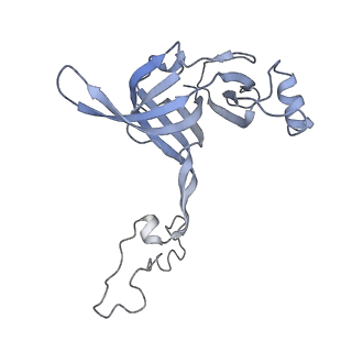 7970_6dnc_G_v1-3
E.coli RF1 bound to E.coli 70S ribosome in response to UAU sense A-site codon