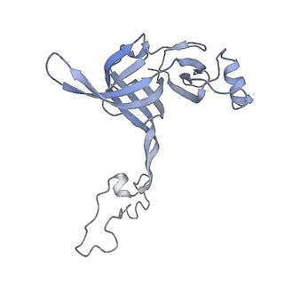 7970_6dnc_G_v1-4
E.coli RF1 bound to E.coli 70S ribosome in response to UAU sense A-site codon