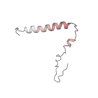 7970_6dnc_HB_v1-3
E.coli RF1 bound to E.coli 70S ribosome in response to UAU sense A-site codon