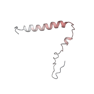 7970_6dnc_HB_v1-4
E.coli RF1 bound to E.coli 70S ribosome in response to UAU sense A-site codon