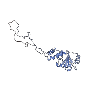 7970_6dnc_H_v1-4
E.coli RF1 bound to E.coli 70S ribosome in response to UAU sense A-site codon