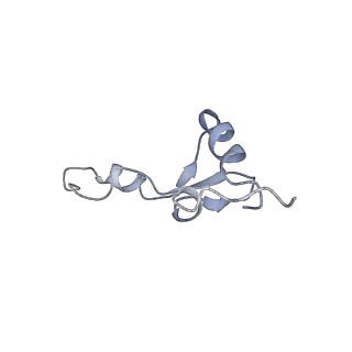 7970_6dnc_IA_v1-4
E.coli RF1 bound to E.coli 70S ribosome in response to UAU sense A-site codon