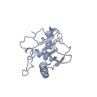 7970_6dnc_I_v1-3
E.coli RF1 bound to E.coli 70S ribosome in response to UAU sense A-site codon