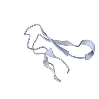 7970_6dnc_JA_v1-3
E.coli RF1 bound to E.coli 70S ribosome in response to UAU sense A-site codon