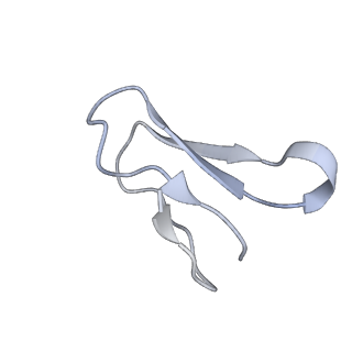 7970_6dnc_JA_v1-4
E.coli RF1 bound to E.coli 70S ribosome in response to UAU sense A-site codon