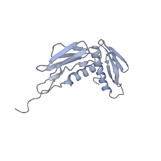 7970_6dnc_J_v1-3
E.coli RF1 bound to E.coli 70S ribosome in response to UAU sense A-site codon