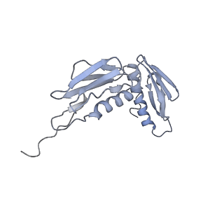 7970_6dnc_J_v1-4
E.coli RF1 bound to E.coli 70S ribosome in response to UAU sense A-site codon