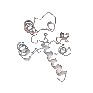 7970_6dnc_L_v1-3
E.coli RF1 bound to E.coli 70S ribosome in response to UAU sense A-site codon