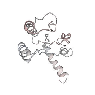 7970_6dnc_L_v1-4
E.coli RF1 bound to E.coli 70S ribosome in response to UAU sense A-site codon