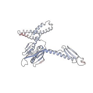 7970_6dnc_MA_v1-3
E.coli RF1 bound to E.coli 70S ribosome in response to UAU sense A-site codon