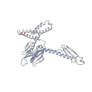 7970_6dnc_MA_v1-4
E.coli RF1 bound to E.coli 70S ribosome in response to UAU sense A-site codon