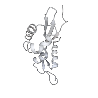 7970_6dnc_M_v1-3
E.coli RF1 bound to E.coli 70S ribosome in response to UAU sense A-site codon