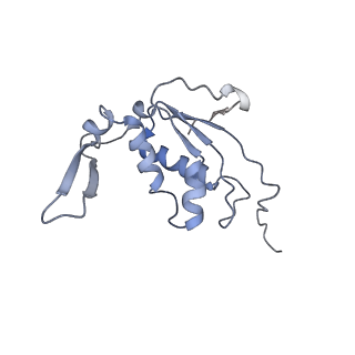 7970_6dnc_N_v1-3
E.coli RF1 bound to E.coli 70S ribosome in response to UAU sense A-site codon