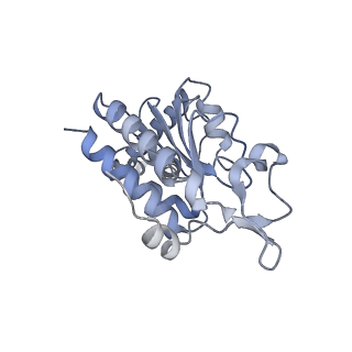7970_6dnc_OA_v1-3
E.coli RF1 bound to E.coli 70S ribosome in response to UAU sense A-site codon