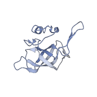 7970_6dnc_O_v1-3
E.coli RF1 bound to E.coli 70S ribosome in response to UAU sense A-site codon