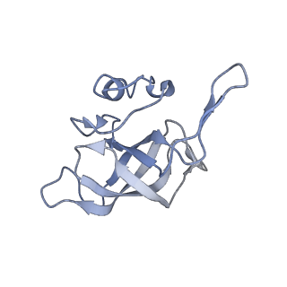 7970_6dnc_O_v1-4
E.coli RF1 bound to E.coli 70S ribosome in response to UAU sense A-site codon