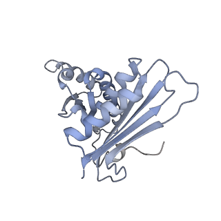 7970_6dnc_PA_v1-3
E.coli RF1 bound to E.coli 70S ribosome in response to UAU sense A-site codon