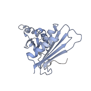 7970_6dnc_PA_v1-4
E.coli RF1 bound to E.coli 70S ribosome in response to UAU sense A-site codon