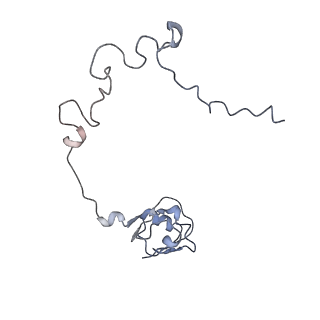 7970_6dnc_P_v1-3
E.coli RF1 bound to E.coli 70S ribosome in response to UAU sense A-site codon
