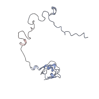 7970_6dnc_P_v1-4
E.coli RF1 bound to E.coli 70S ribosome in response to UAU sense A-site codon