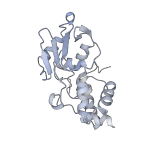 7970_6dnc_QA_v1-3
E.coli RF1 bound to E.coli 70S ribosome in response to UAU sense A-site codon