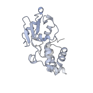 7970_6dnc_QA_v1-4
E.coli RF1 bound to E.coli 70S ribosome in response to UAU sense A-site codon