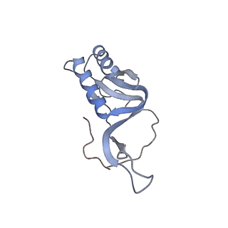7970_6dnc_Q_v1-3
E.coli RF1 bound to E.coli 70S ribosome in response to UAU sense A-site codon
