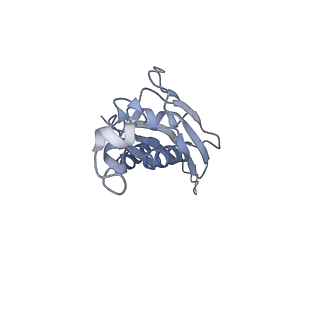 7970_6dnc_RA_v1-3
E.coli RF1 bound to E.coli 70S ribosome in response to UAU sense A-site codon