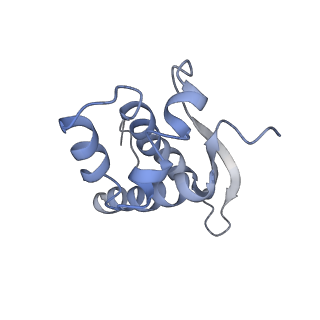 7970_6dnc_R_v1-3
E.coli RF1 bound to E.coli 70S ribosome in response to UAU sense A-site codon