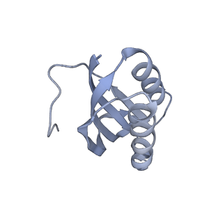 7970_6dnc_SA_v1-3
E.coli RF1 bound to E.coli 70S ribosome in response to UAU sense A-site codon