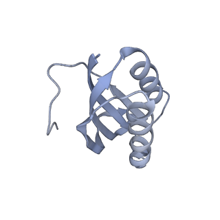 7970_6dnc_SA_v1-4
E.coli RF1 bound to E.coli 70S ribosome in response to UAU sense A-site codon