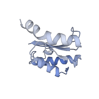 7970_6dnc_S_v1-4
E.coli RF1 bound to E.coli 70S ribosome in response to UAU sense A-site codon