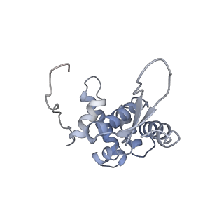 7970_6dnc_TA_v1-3
E.coli RF1 bound to E.coli 70S ribosome in response to UAU sense A-site codon